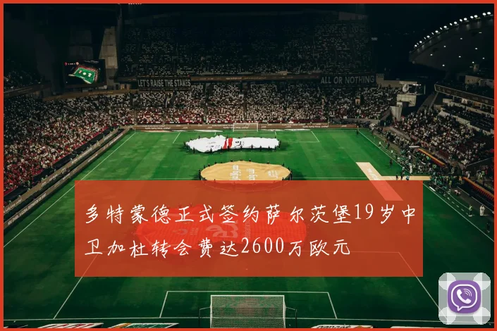 多特蒙德正式签约萨尔茨堡19岁中卫加杜转会费达2600万欧元