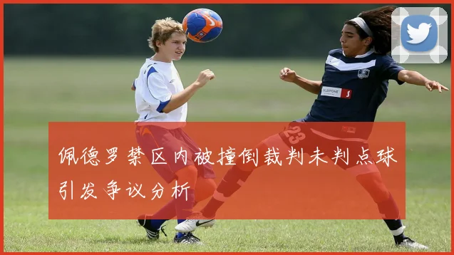 佩德罗禁区内被撞倒裁判未判点球引发争议分析