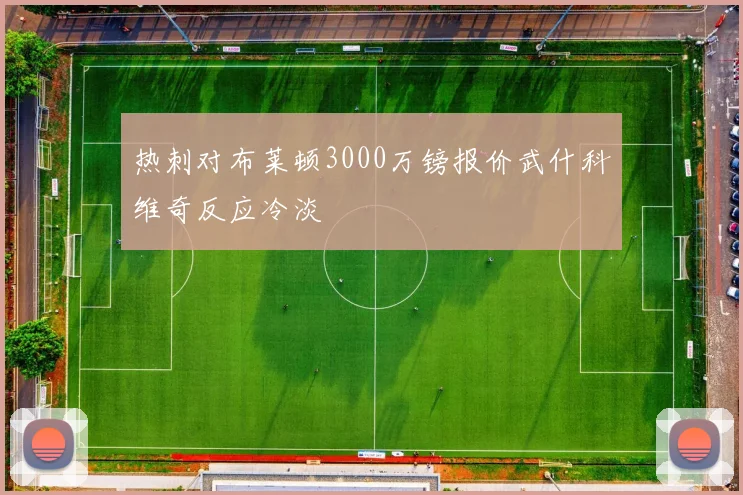 热刺对布莱顿3000万镑报价武什科维奇反应冷淡