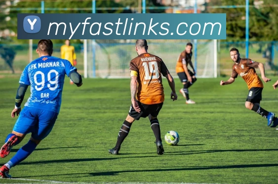 世界杯2026官网入口服务体系